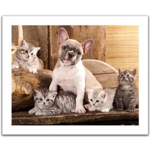 Pintoo (h1567) - "Little Kittens and A Dog" - 500 Teile Puzzle