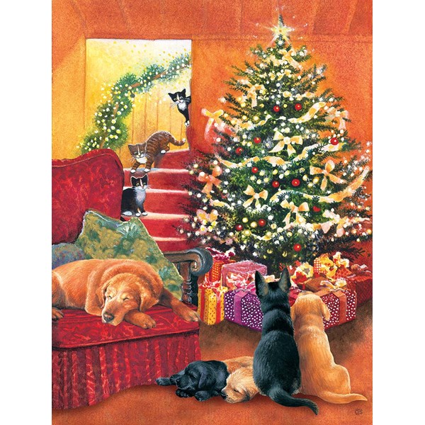 SunsOut (39538) - "Waiting for Morning" - 500 Teile Puzzle