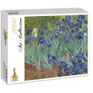 Grafika (00751) - Vincent van Gogh: "Vincent van Gogh, 1889" - 2000 Teile Puzzle