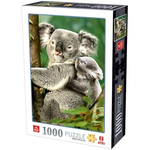 D-Toys (76816) - "Koalabären" - 1000 Teile Puzzle