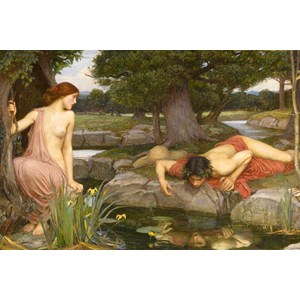 D-Toys (75048) - John William Waterhouse: "Echo und Narcissus" - 1000 Teile Puzzle