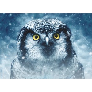 Deico (75727) - "Owl" - 1000 Teile Puzzle