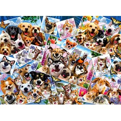 Anatolian (3947) - Howard Robinson: "Selfie Pet Collage" - 2000 Teile Puzzle