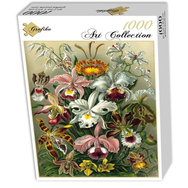 Grafika (00617) - Ernst Haeckel: "Kunstformen der Natur, Orchidae, 1904" - 1000 Teile Puzzle