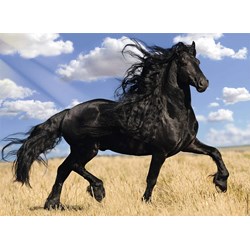 Nathan (87223) - "Pferd" - 500 Teile Puzzle