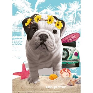 Nathan (87239) - "Téo California" - 500 Teile Puzzle