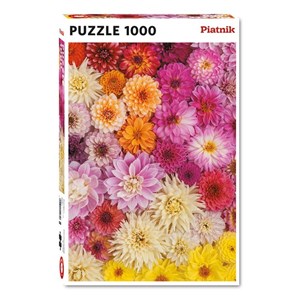 Piatnik (5518) - "Dahlias" - 1000 Teile Puzzle