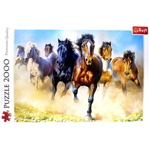 Trefl (27098) - "Wilde Pferde" - 2000 Teile Puzzle