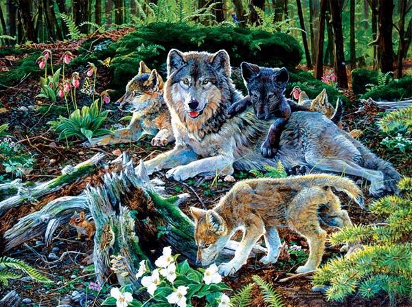 SunsOut (60506) - Jan Martin McGuire: "Forest Wolf Family" - 500 Teile Puzzle