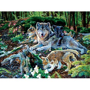 SunsOut (60506) - Jan Martin McGuire: "Forest Wolf Family" - 500 Teile Puzzle