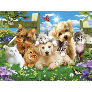 SunsOut (54923) - Jonathan Robinson: "Pups n Kittens" - 300 Teile Puzzle
