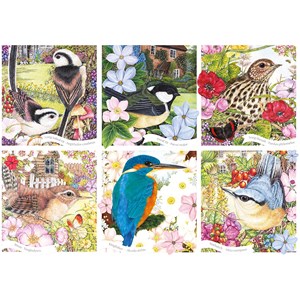 Otter House Puzzle (75079) - "RSPB, Garden Birds" - 1000 Teile Puzzle