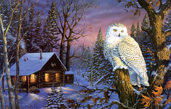 SunsOut (71230) - Terry Doughty: "Night Watch" - 1000 Teile Puzzle