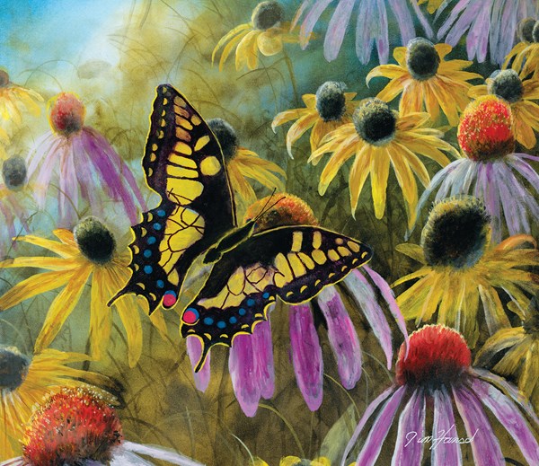 SunsOut (67322) - Jim Hansel: "Swallowtail Vistor" - 550 Teile Puzzle