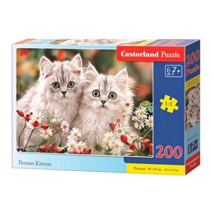 Castorland (B-222131) - "Persian Kittens" - 200 Teile Puzzle
