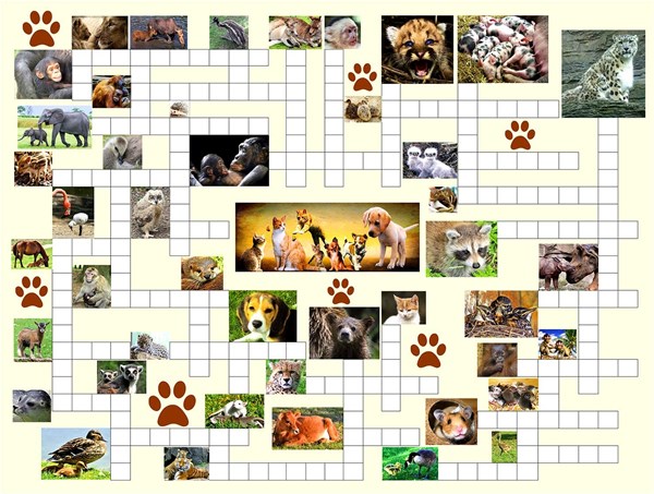 SunsOut (10160) - Irv Brechner: "Puzzle Combo, Animal Nursery" - 500 Teile Puzzle