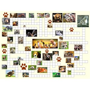 SunsOut (10160) - Irv Brechner: "Puzzle Combo, Animal Nursery" - 500 Teile Puzzle