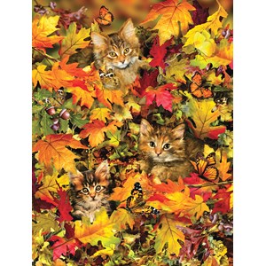 SunsOut (35059) - Lori Schory: "Kitties at Play" - 300 Teile Puzzle