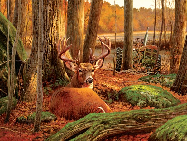SunsOut (50133) - "Where Sleeping Deer Lie" - 500 Teile Puzzle