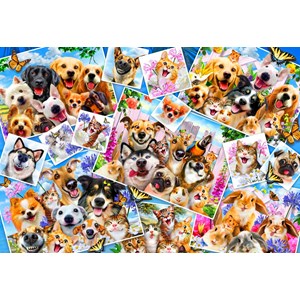 Bluebird Puzzle (70371) - "Selfie Pet Collage" - 260 Teile Puzzle