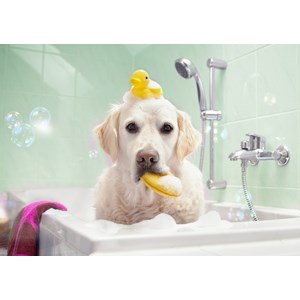 Bluebird Puzzle (70367) - "Bath Time" - 100 Teile Puzzle