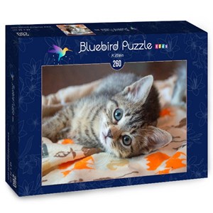 Bluebird Puzzle (70368) - "Kitten" - 260 Teile Puzzle