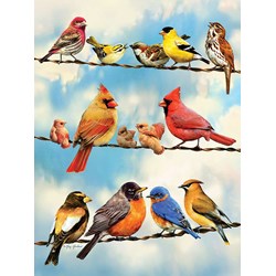 Cobble Hill (85034) - Greg Giordano: "Birds on a Wire" - 500 Teile Puzzle