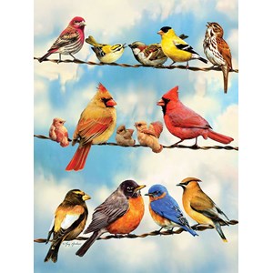 Cobble Hill (85034) - Greg Giordano: "Birds on a Wire" - 500 Teile Puzzle