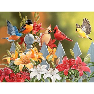 SunsOut (30479) - William Vanderdasson: "Birds on a Fence" - 300 Teile Puzzle