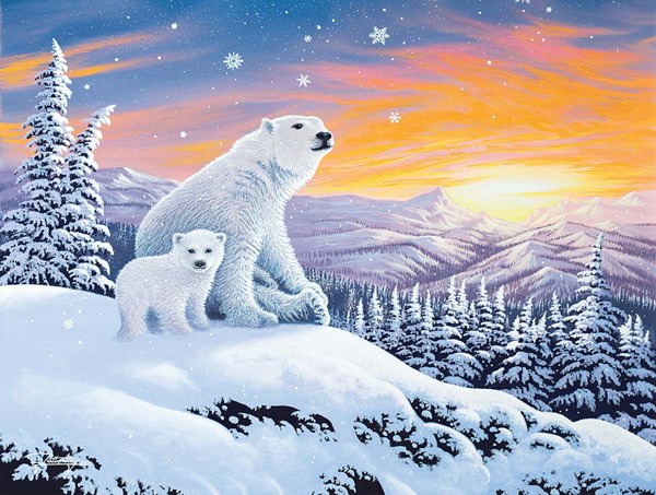 SunsOut (70266) - "The Snow Bears" - 300 Teile Puzzle