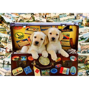 Bluebird Puzzle (70398) - Greg Cuddiford: "Two Travel Puppies" - 100 Teile Puzzle