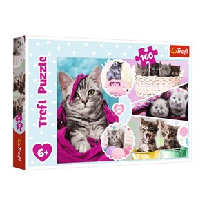 Trefl (15371) - "Kittens" - 160 Teile Puzzle