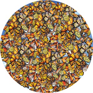 SunsOut (35047) - Lori Schory: "Monarch Frenzy" - 1000 Teile Puzzle