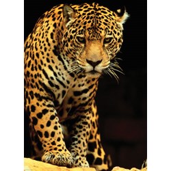 Eurographics (6000-1163) - "Leopard" - 1000 Teile Puzzle