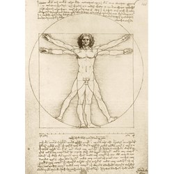 Bluebird Puzzle (60009) - Leonardo Da Vinci: "The Vitruvian Man, 1490" - 1000 Teile Puzzle