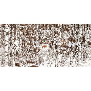 SunsOut (74415) - Bev Doolittle: "Woodland Encounter" - 1000 Teile Puzzle