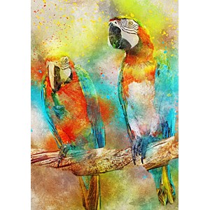 Bluebird Puzzle (70032) - "Parrots" - 1000 Teile Puzzle