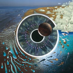 Zee Puzzle (26945) - "Pink Floyd, Pulse" - 1000 Teile Puzzle