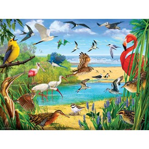 SunsOut (70028) - R. Christopher Vest: "Florida Birds" - 1000 Teile Puzzle
