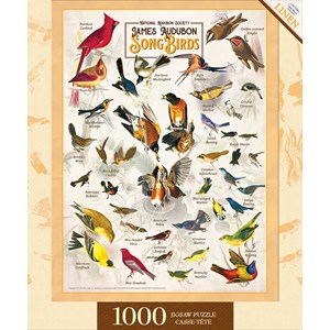 MasterPieces (72049) - "Songbirds" - 1000 Teile Puzzle