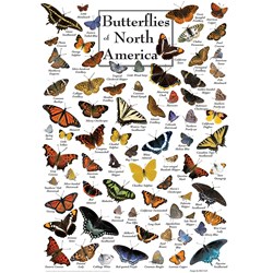 MasterPieces (71971) - "Butterflies of North America" - 1000 Teile Puzzle