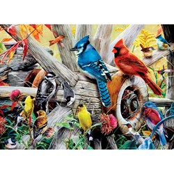 MasterPieces (31978) - "Backyard Birds" - 1000 Teile Puzzle