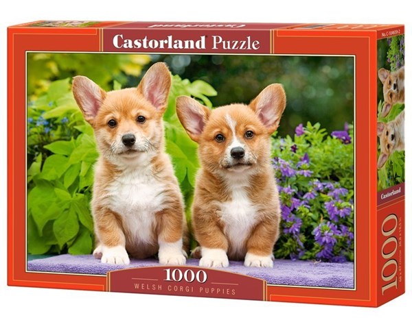 Castorland (C-104659) - "Welsh Corgi Puppies" - 1000 Teile Puzzle