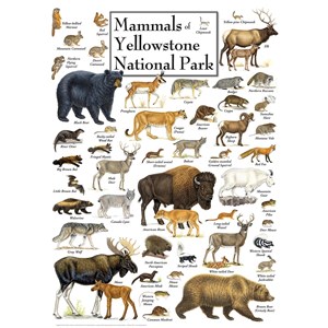 MasterPieces (71974) - "Mammals of Yellowstone National Park" - 1000 Teile Puzzle