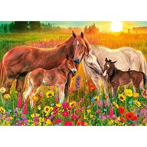Jumbo (18851) - "Horses in the Meadow" - 500 Teile Puzzle