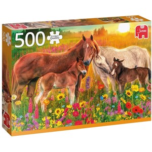 Jumbo (18851) - "Horses in the Meadow" - 500 Teile Puzzle
