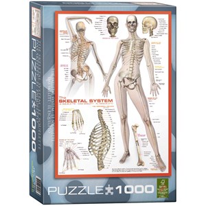Eurographics (6000-2014) - "The Skeletal System" - 1000 Teile Puzzle