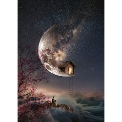 Schmidt Spiele (59904) - Natacha Einat: "Traumgeflüster" - 1000 Teile Puzzle