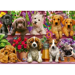 Schmidt Spiele (58973) - "Hunde im Regal" - 500 Teile Puzzle