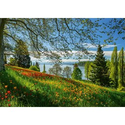 Schmidt Spiele (58967) - "Frühlingsallee zur Tulpenblüte, Insel Mainau" - 1000 Teile Puzzle